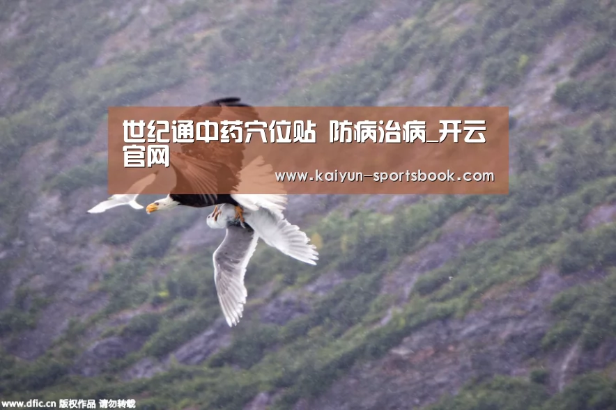开云官网