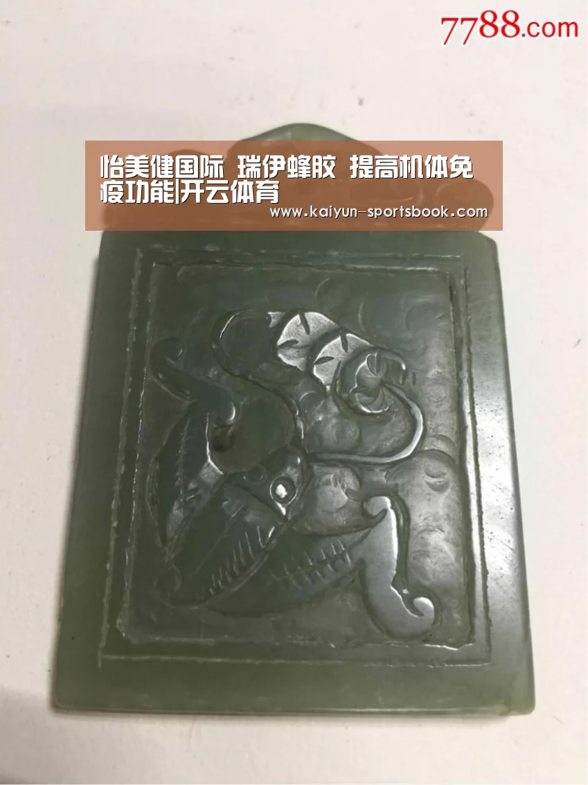 怡美健国际 瑞伊蜂胶 提高机体免疫功能|开云体育(图1) 开云体育
