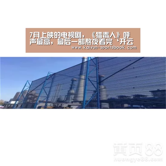 7月上映的电视剧,《猎毒人》呼声最高,最后一部熬夜看完‘开云官网’(图2) 开云首页