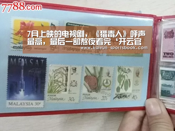 7月上映的电视剧,《猎毒人》呼声最高,最后一部熬夜看完‘开云官网’(图1) 开云首页