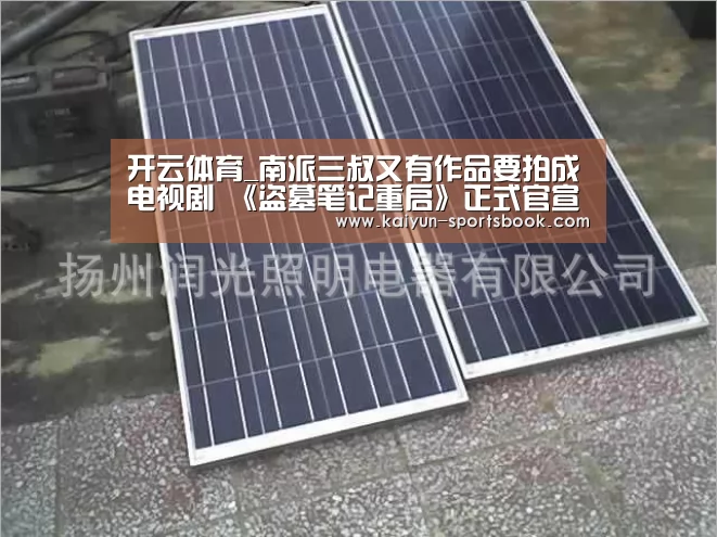开云竞猜