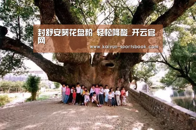 封舒安葵花盘粉 轻松降酸_开云官网(图1) 开云体育