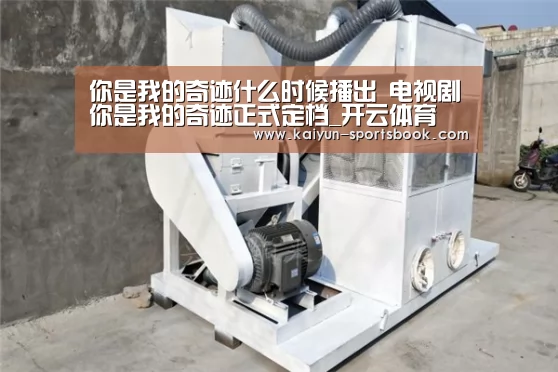 你是我的奇迹什么时候播出 电视剧你是我的奇迹正式定档_开云体育(图1) 开云官网