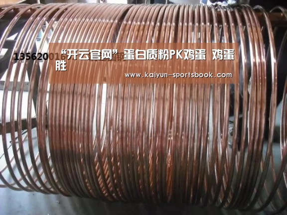 “开云官网”蛋白质粉PK鸡蛋 鸡蛋胜(图1) 开云官网