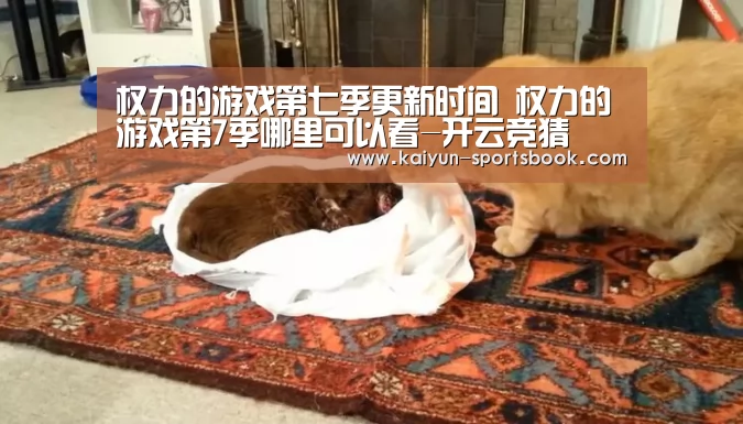 开云竞猜