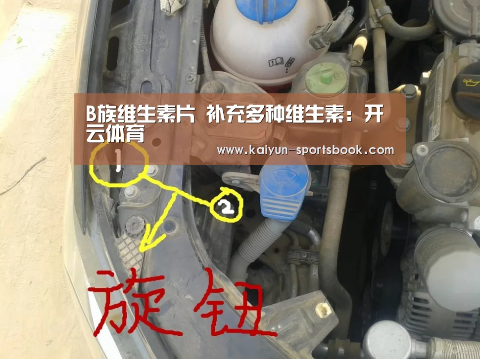 B族维生素片 补充多种维生素:开云体育(图4) 开云官网