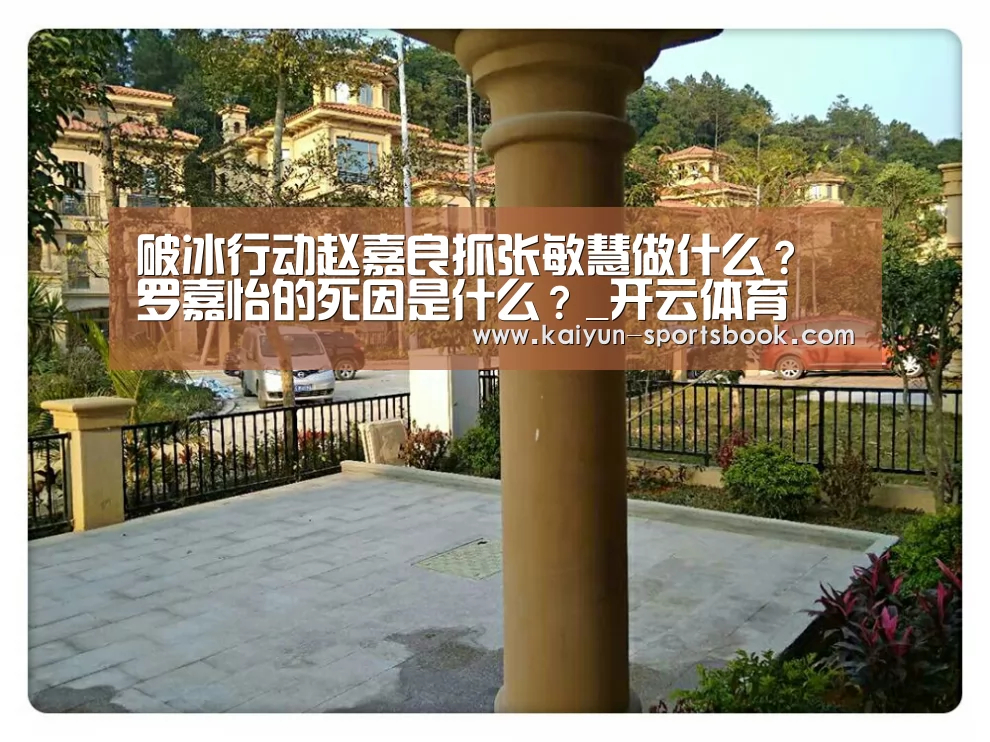 破冰行动赵嘉良抓张敏慧做什么?罗嘉怡的死因是什么?_开云体育(图1) 开云竞猜
