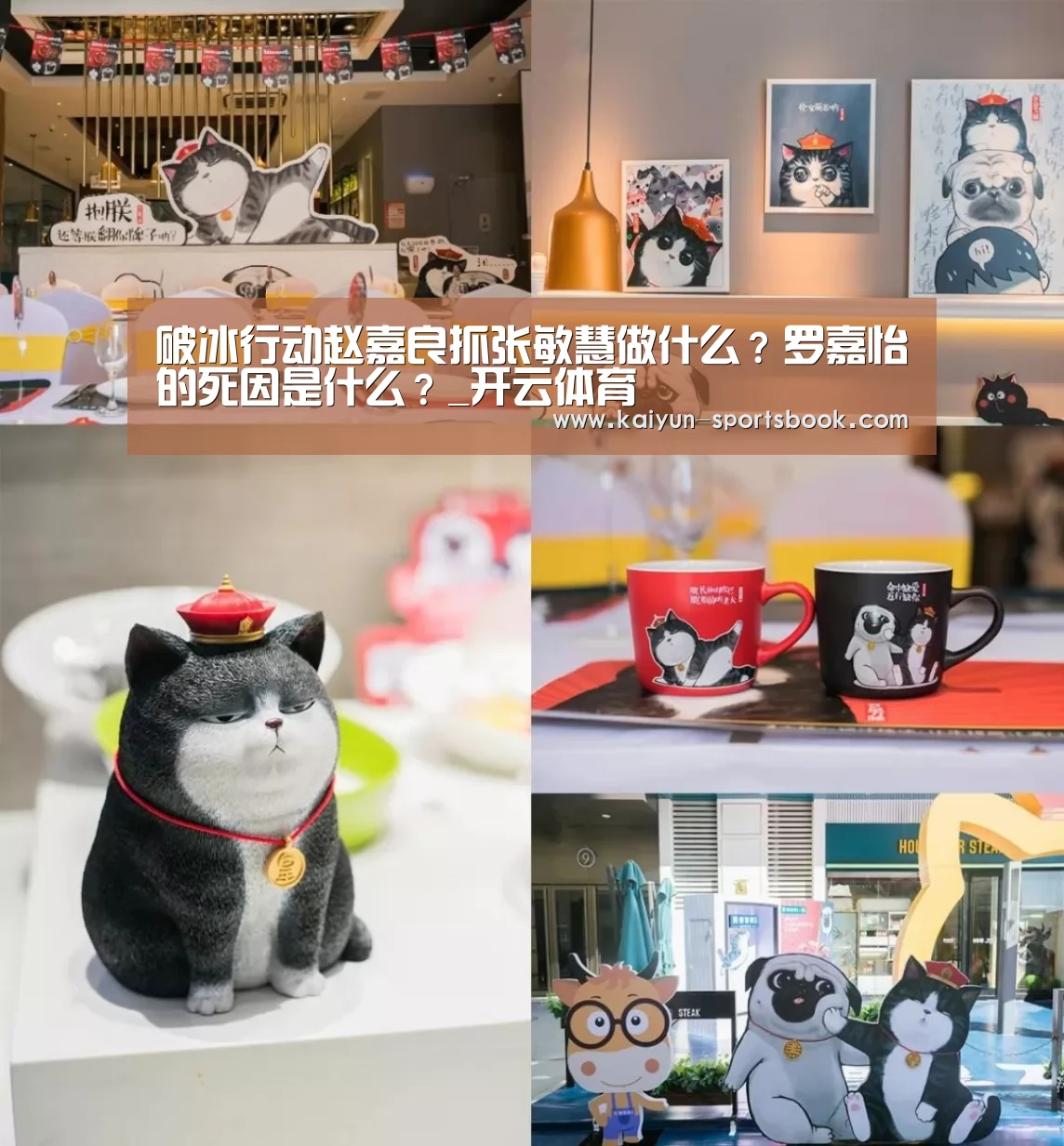 破冰行动赵嘉良抓张敏慧做什么?罗嘉怡的死因是什么?_开云体育(图2) 开云官网