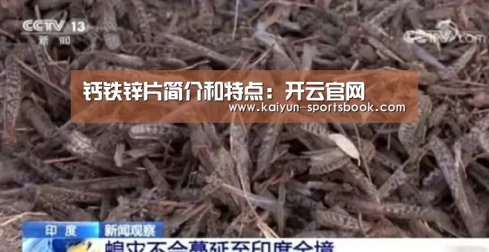 开云首页